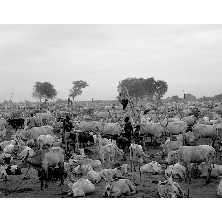 Winfried Bullinger Photographer